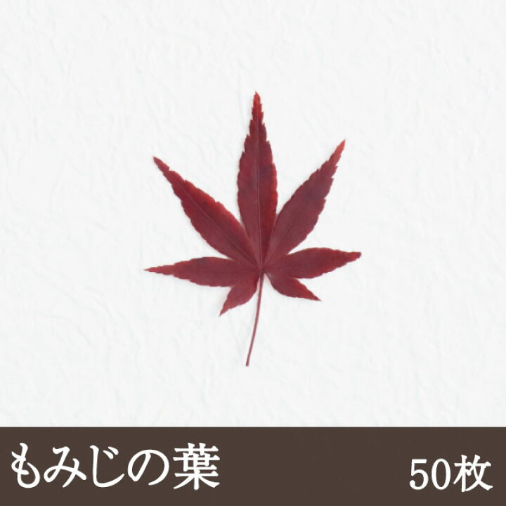 楽天市場 もみじ 50枚 ネコポス便可 紅葉 飾り葉 敷き葉 和食 和菓子 秋 和食材料処 天極堂プロ