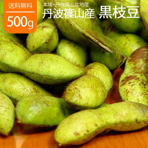 送料無料 丹波 黒枝豆 黒豆 枝豆 えだまめ 生 豆 枝無し さや 500g 丹波篠山産