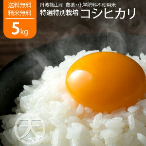 y_z OgRY 5kg RVqJ V ߘa7NY Og ʍ͔| Ɍ