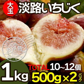 楽天市場 ギフト イチジク フルーツ 果物 食品の通販