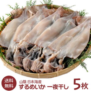 CJ XCJ  X 銱 RA {C 20cm 5Zbg