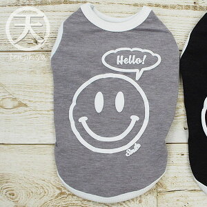 N[N`[ ewc  ̕ { jR^N ^Ngbv 킢   ybg 12230 앞