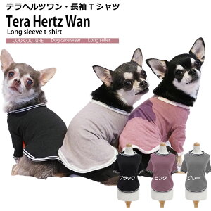 N[N`[ ewc  ̕ { TVc   ybg 50045 TVc VjA 앞