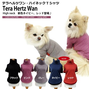 N[N`[ ewc  ̕ nClbN TVc ybg { 50051