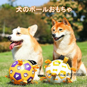 ̂  ybg ЂƂV pi ߋ p  I` {[  ObY ybgpi  oXPbg{[