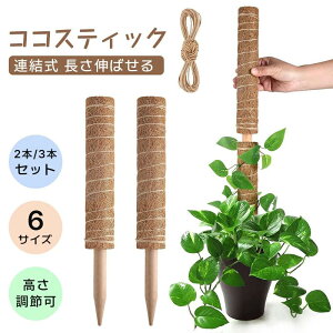 ϗtA 3{Zbg RRXeBbN 2{Zbg |x Xe A x x K[fjO