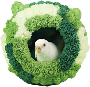 CR ΍ ҂   ʂݒ̑ ZLZCCR ۉ ̐Q g БJ^   ӂӂ xbh