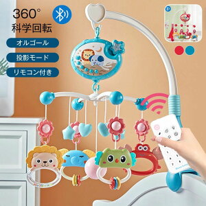 [ e@\ [r IS[ 360°Ȋw] 360°] xr[ R xbh[ A[