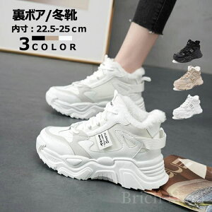 [Nu[c yzEB^[u[c hC 22.5-25cm u[c  60u[c C N ꂢ Xj[J[ {A