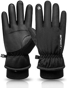 TCNO AEghA X|[c ] oCN AEghAO[u ܂Œg h v  ~ ۉ  hO[u