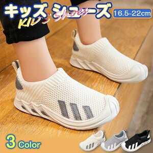  ʋCQ bV y bVXb| j̎q ̎q LbY C V[Y Xj[J[ Xb| LbYV[Y