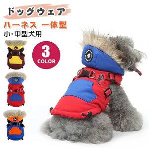 t@ wJ {A  N AE^[ WPbg xXg g t[ht ̌^ n[lX  hbOEFA ~ 