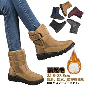 X p EB^[u[c ~ N y  u[c ₷ h ʊw ፑ fB[X {A ۉ [gu[c