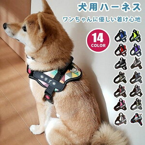  CjV  nht ȒP EȂ Ȃ   킢 ^ qD O n[lX 