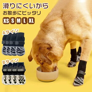 ɂ ~   C L  ^ ̌C C  ̌C p C \bNX pC ybgC