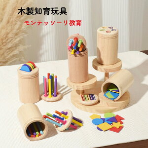 j̎q q mߋ w̒m av[g 1 eb\[ 4 2  3   Ԃ F̕ ؂̂