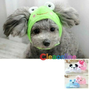 pXqXk[hꎨ̃Ɏh~^^RXv