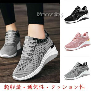  S jO 5cmXj[J[ Xb| V[Y Ȃ 킢 Cq[ [Jbg  fB[X