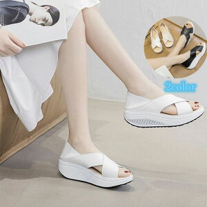 NXC _CGbgV[Y T_ i[XT_   ₷ i[XV[ ₷ fB[X Xb|