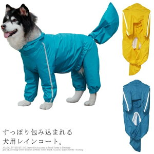 ˃e[vt CR[g Ȃ  t[ht C|` CEFA ^ ^ j ̎q tJo[