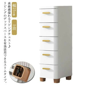 XXgbJ[ [P[X ߗގ[ X 5i `FXg   Lb`XgbJ[ ʏ 25cm ^X XL} q