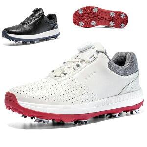 _C Stpi ~ C V[Y StC _CXpCNXV[Y h Xj[J[ _C StV[Y