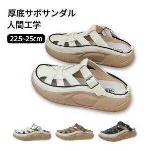 T{T_ JWAV[Y lԍHw Xb|  gAbv5cm T{T_ Oǂ fB[X