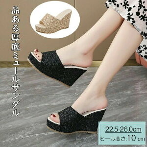   fB[X EFbW\[ y T_ T_ NbVC\[  T_  I[vgD q[