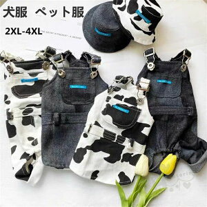   hbOEFA R[g RXv t  L Lp ϐg ybg Uo ėp ybgpi