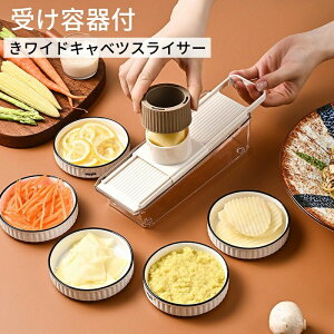 ChTCY ؃XCT[ Lxc؂ Ch ؂Lxc 󂯗e/Sz_[t XCT[ LxcXCT[