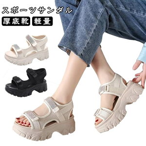 Xj[J[T_ AEghA ₷ X|[cT_ X|[cT_   fB[X   傫TCY