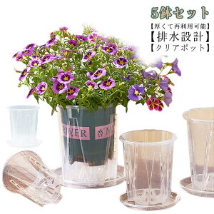 Mt/M Ӓ̐Aؔ Aؔ Mt/M r I[Lbhv^[ t vX`bN ̔ 5Zbg