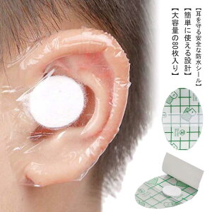 Jo[ j 80 ^Cv Lbv p ĝ hC[pb` ی C[Jo[ C[Lbv pb`