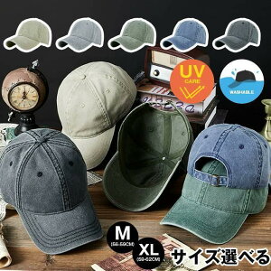 CAP ~ n Lbv t  傫TCY x[X{[Lbv Xq  Xq H JWA y Y