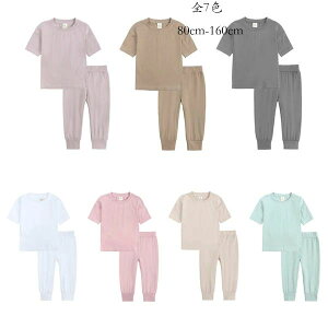 WjA ^ Y{  W[W jZbNX 2_Zbg n Vv ㉺Zbg xr[ ZbgAbv ؍q