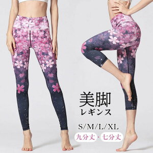 K K r  킢  nCEGXg KEFA  㕪 fB[X KMX MX Kpc