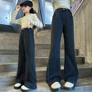 q ̎q {gX ؍q ʊw t H fj Ē  p fjpc Chpc ʉ 킢