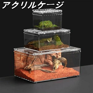 飼育ケース 給餌箱 爬虫類用 昆虫飼育ケース 飼育ケース 通気ケージ 飼育容器アクリル 爬虫類ケージ 爬虫類 アクリルケージ 透明