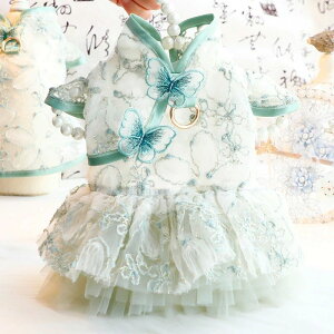  Lp EFfBOhX ybgp ^ ^  ėp `CihX vZXhX 킢 Č