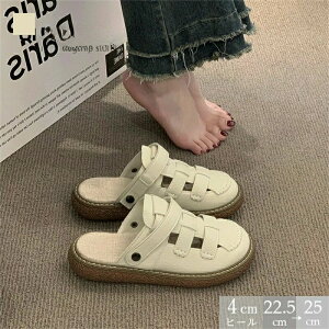 ܐ悠 fB[X EhgD T_ NbV A V[Y w tbgq[ [q[ s ʊw