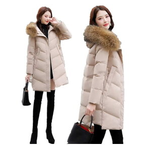 t@[t fB[X ~h R[g h O_E ~ _E AE^[ Xqt _ER[g