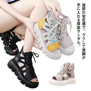 芴 [XAbv ҂ݏグT_ T_ T_  RtH[gT_ fB[X tbg\[ 