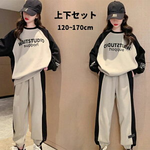 ̎q ZbgAbv 2_Zbg vI[o[ q X|[cEFA q IV K  g[i[ ㉺Zbg LbY