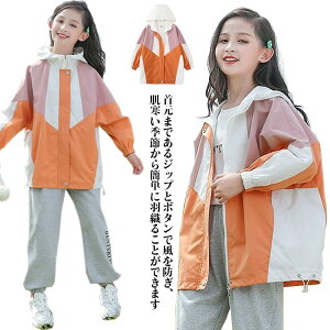 AE^[ LbY   ̎q ؂ւ 160 t[ht O ǂ Wp[ L WbvAbv EChu[J[