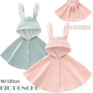 }gR[g Ԃ ETMt LbY qR h ̎q HD }g  q}g J[fBK xr[|`