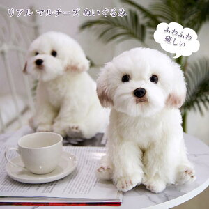 Ck ~[V j̎q ʂ l` q }^q }`[Y  Mtg H|i  N  