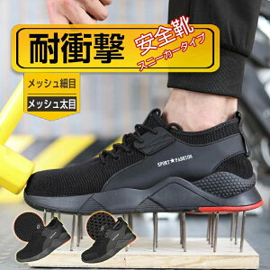 SC Xj[J[ [Nu[c ƌC Ȃ Y fB[X  ZteB[V[Y SXj[J[ |c ܐK[h  ϊ y ʋC ~ jp JWA 