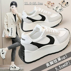 ʋC h gAbv fB[X ^C  +5.5cmUP  fB[Xpv Xj[J[ ~ Xj[J[ u[c