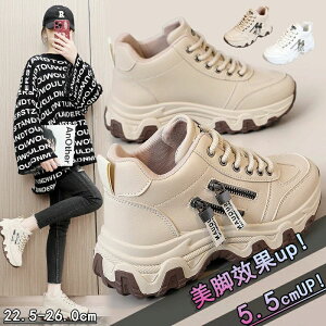 V[Y t@Xi[ ^C C Xj[J[ fB[Xpv fB[X u[c gAbv +5cmUP   Xj[J[