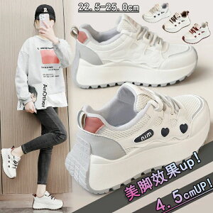 fB[X V[Y  u[c fB[Xpv C  ^C Xj[J[ gAbv Xj[J[ +4.5cmUP ʋC